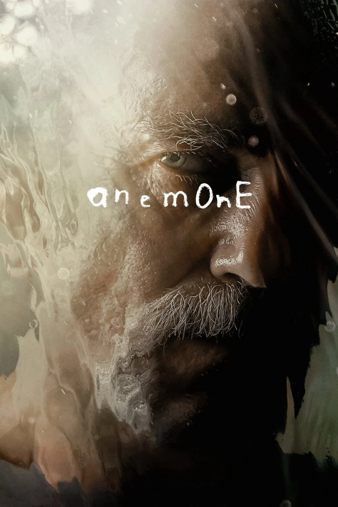 Anemone - Anemone (2025)