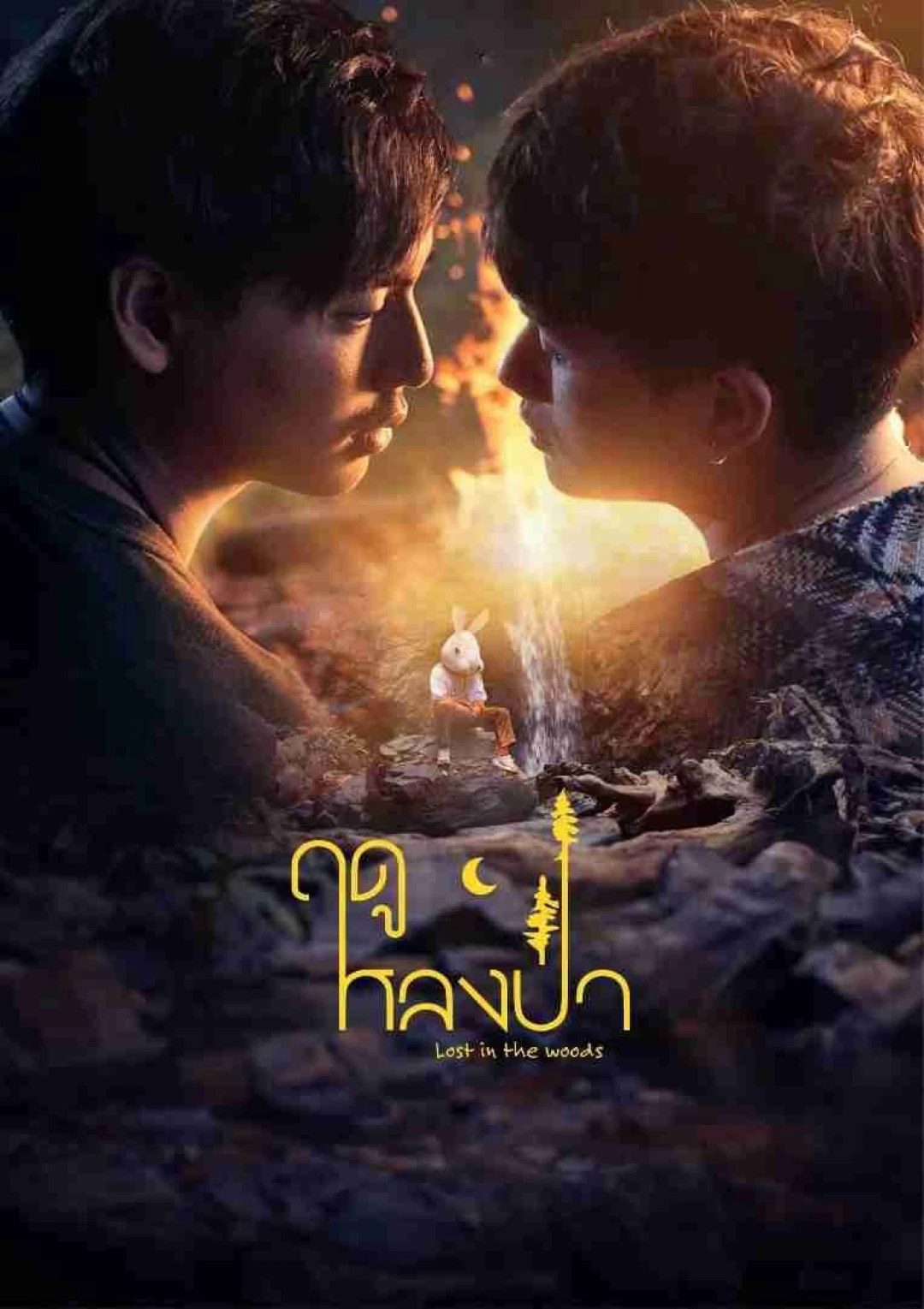 Mùa Lạc Trong Rừng